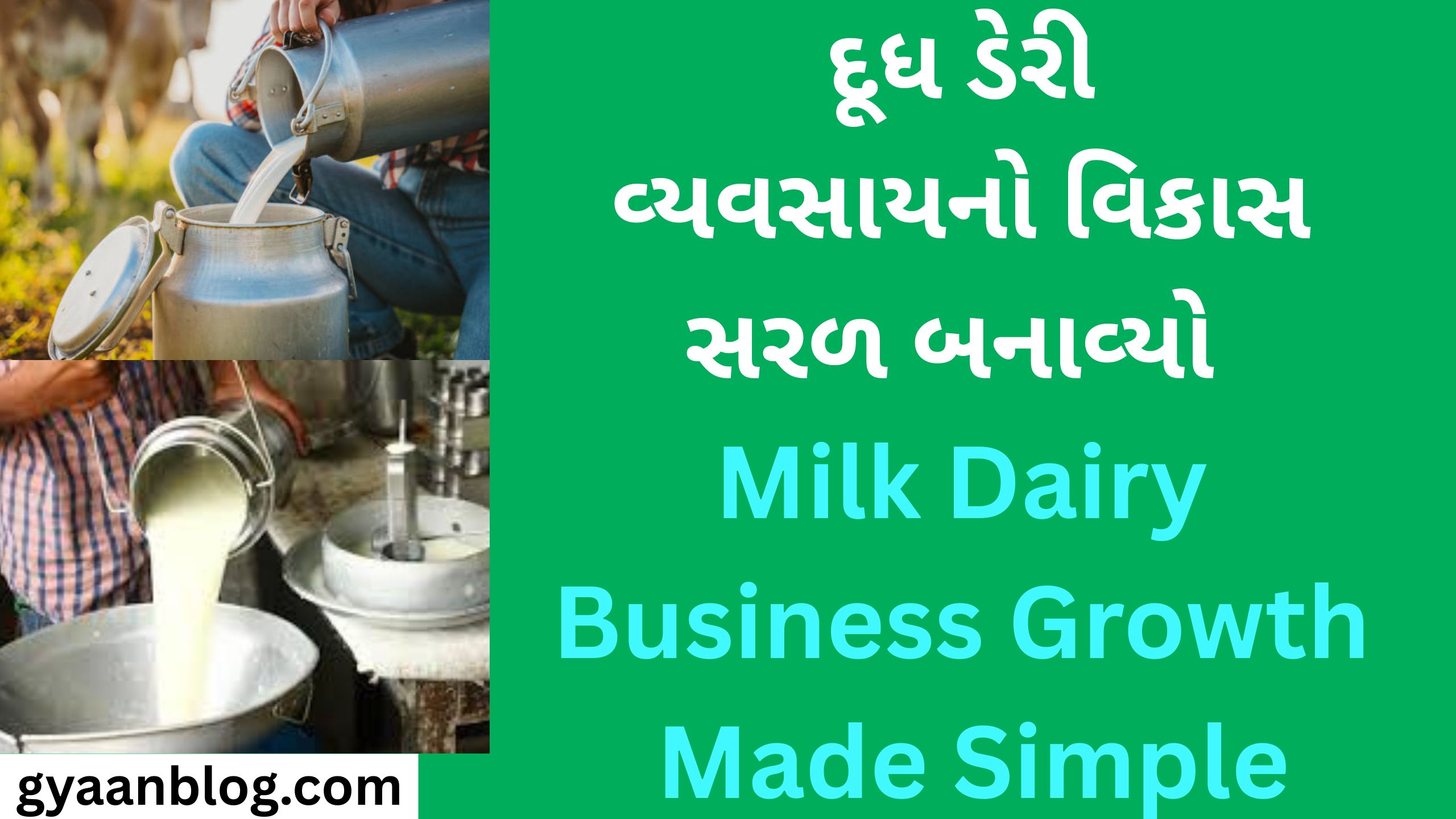 Milk Dairy Business Growth Made Simple